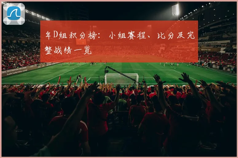 年D组积分榜:小组赛程、比分及完整战绩一览